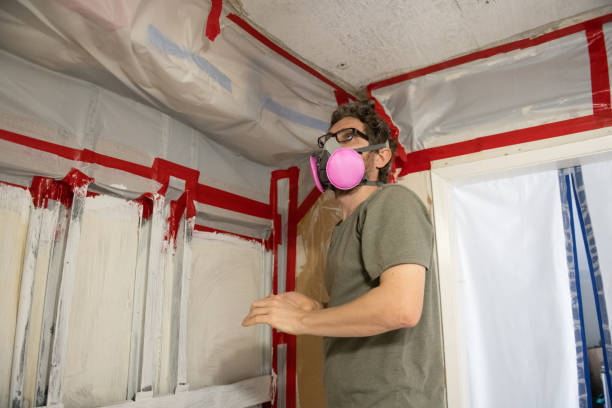 Best Post-Construction Mold Inspection  in Naugatuck, CT