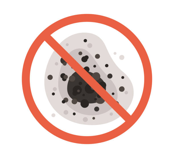 Best Commercial Mold Inspection  in Naugatuck, CT